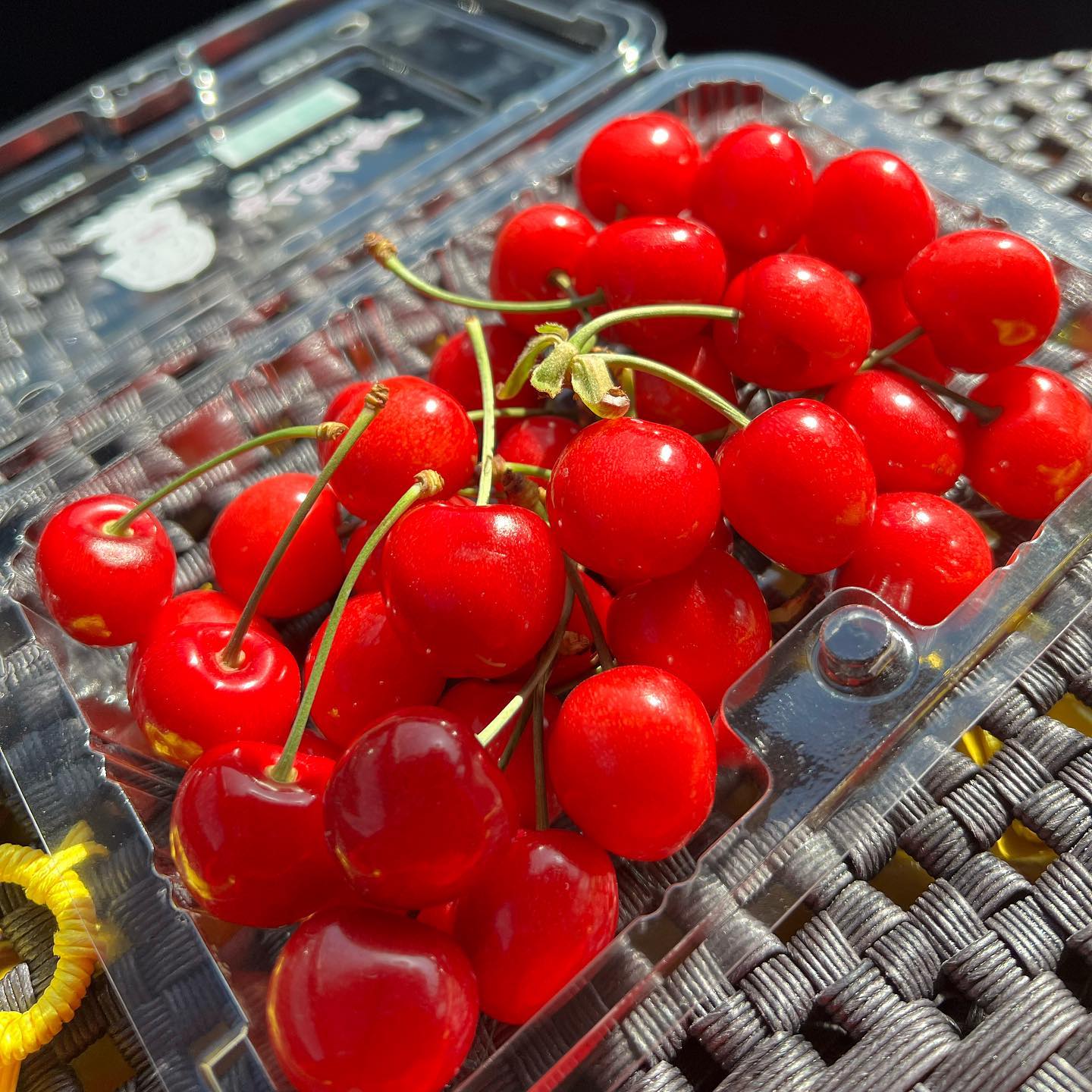 歌えるカフェバー　カラオケ　初さくらんぼ 金沢片町るたん
