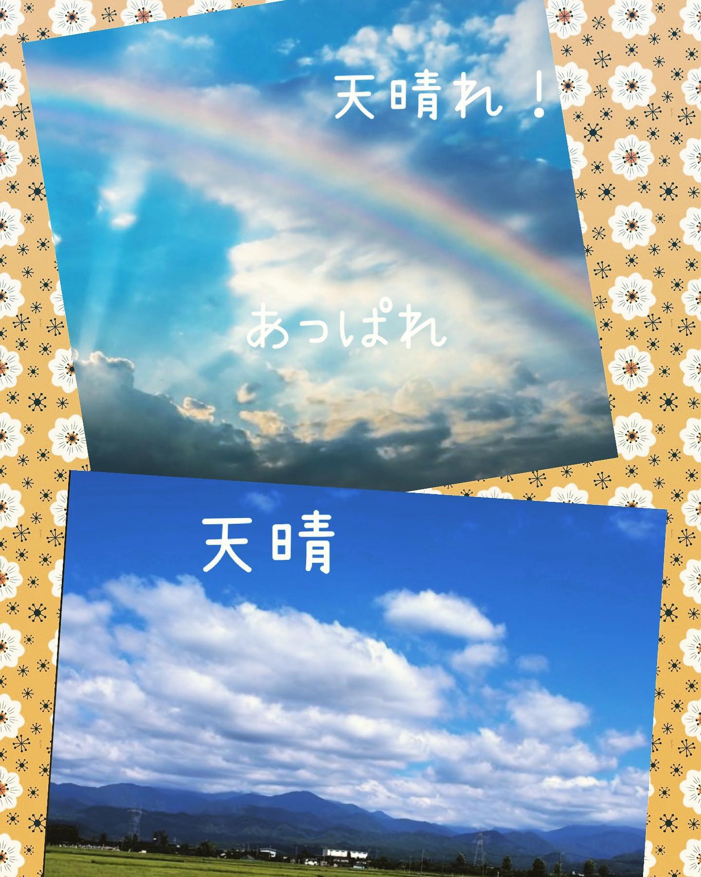 晴れ渡る…違和感を見て見ぬふりして思考で自分を納得させても感じてる事が正しいんだ！霧が晴れて、ほっとしてる私が居る私の特質必ず肝心な時に発動してくれる守られてる私これはこれまで生きてきた確証だからだから私は強い弱いのにね…強いのんだなぁ▽follow me▽@letemps22#カフェバー #Cafebar#心地よい空間#金沢片町 #片町バー#楽しいひと時#るたん#CafeBAR_Le_temps#カフェバー_るたん#おひとり様でも #犀川沿いの夜景#景色が良い #安らぐ空間#お酒と音楽が楽しめる#歌えるカフェバー#カラオケ #大人の癒し#静岡出身です#思考と感じる事#天晴れ#天晴#あっぱれ#考えるな感じろ！ - 金沢片町るたん