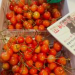 <span class="title">山形のさくらんぼ今年は収穫量がとても少ない年だとか……早期予約していたので、お安く購入することができました。販売開始の値段より1000円近く安く買えました。下の娘は小さい頃からさくらんぼが大好きで、保育園のお名前マークもさくらんぼだったなー♪あの頃は庭のさくらんぼも毎年食べたね♪私自身想い出沢山の特別なのです♪生産者さんありがとうございます♪▽follow me▽@letemps22#山形のさくらんぼ#さくらんぼの季節#娘の大好物#竹城青果#佐藤錦#猫好きです#静岡出身です#金沢片町カフェバー#Cafebar_Letemps#カフェバー_るたん#おひとり様でも#犀川沿いの夜景#歌えるカフェバー#金沢片町カジュアルバー#金沢片町ミュージックバー#金沢片町カラオケ – 金沢片町るたん</span>